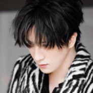 蓝安已遇释怀鸟