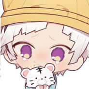 不关橙猫猫的事哦