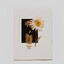 uNpixel♥