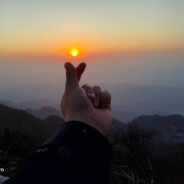 一只路过的青蛙