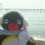 pingu