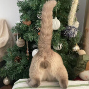 今天要当什么人