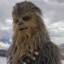 Chewbacca