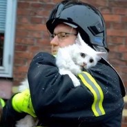 憧憬成为西住美穗