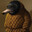 The Mole