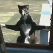 StarStr1ke - steam id 76561199214000086