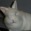 When Bunnies Attack