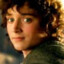 Frodo Laggins