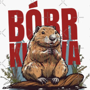 BOBBR KURWAAA