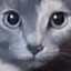 Pett