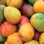 manymangos