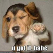 u got it, babe