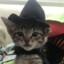 meow