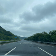 盗号狗改我名死妈