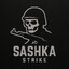 SashkaSTRIKE | PaDaKa