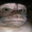 [MONKE] abobo