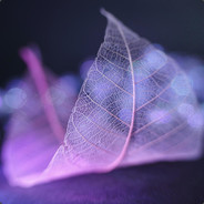 Zubin_le