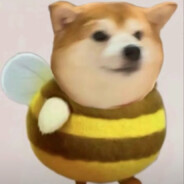 菜别骂用爱感化