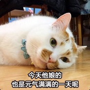 退役战神卢本伟white55开