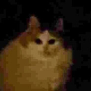 [HGR]злой тапок