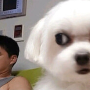 曹丕媳妇进菜园