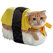 你叫我也不会听