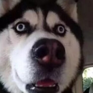 好人给我取个名