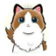 NekoYumi