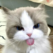 No'nd | Qu1et - steam id 76561199042961835