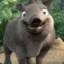 Teddy the Tapir