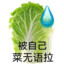 摸仙煲女王