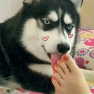 想做万恶资本家