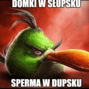 domki w Słupskuskins.army