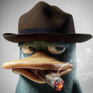 Perry PQUEK