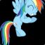 Rainbow pone