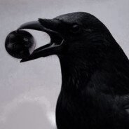 Казённая Мошонка