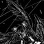 7fgo5dd