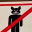 Sheshen amy's avatar