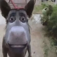 THNKARFONWEIMAIOLEBRON