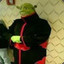 Shrek Sheroso