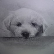 我的喷子不打人