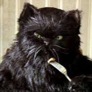 Кот Баюн