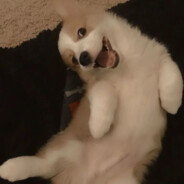 只摸不干，那不行。