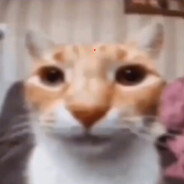 lucazz Ɑ͞ ̶͞ ̶͞ ﻝﮞ