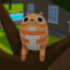 Steam avatar