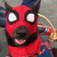 Cachorro aranha