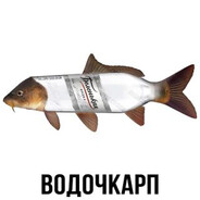 Ибуба - steam id 76561198992061237