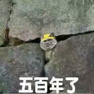 风曾带我到云端