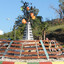 CDE JG
