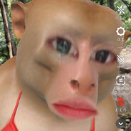 不知名的王本懿